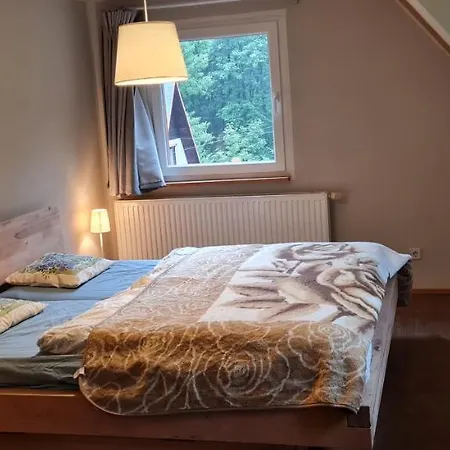 Waldhaeus'l Holiday home Altenberg