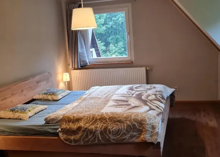 Waldhaeus'l Dom wakacyjny Altenberg (Osterzgebirge)